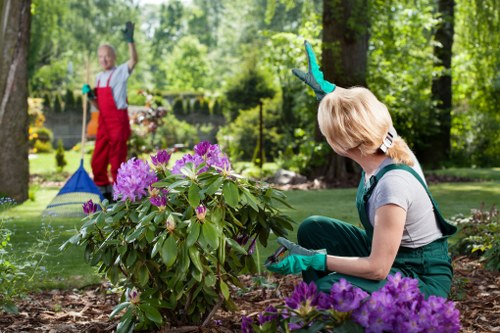 Professionally mowed lawn in a Knightsbridge garden
