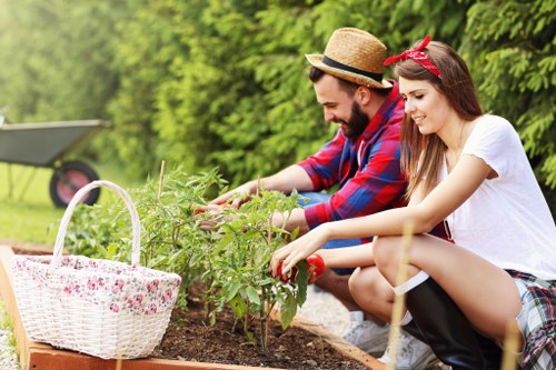 Professional garden clearance services at work