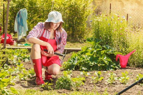 A woman kneeling in a garden during daytime, tending to young vegetable plants with a small gardening trowel. She is wearing a straw hat, a red apron, a checked shirt, and tall red rain boots. The garden features well-tilled soil beds with emerging green plants, surrounded by lush greenery and flowering plants in the background. To the right, a pink watering can is placed on the soil, and a garden hose is partially visible in the foreground. In the background, there are trees, bushes, and a wooden fence, suggesting a private outdoor space within a suburban or rural area. The sunny weather creates bright natural lighting, highlighting the natural tones of the plants, soil, and garden accessories, aligning with professional gardening and landscaping services offered by Landscapers Knightsbridge in the nearby area, possibly within the Knightsbridge postcode or London region.