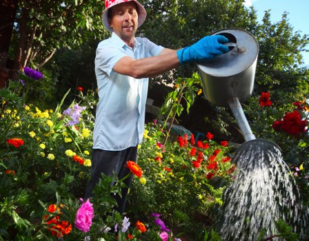 A man wearing a red sun hat, light blue shirt, and blue gardening gloves is watering a lush garden with a grey metal watering can. The garden features a variety of flowering plants, including red, purple, yellow, and pink blossoms, arranged around a well-maintained grassy lawn. In the background, there are tall trees and dense foliage, indicating a private outdoor space. The scene is illuminated by natural daylight with clear weather. The garden appears to be part of a landscaped backyard, demonstrating outdoor maintenance and planting, which aligns with gardening services offered by Landscapers Knightsbridge relevant to the postcode area near London, SW1.