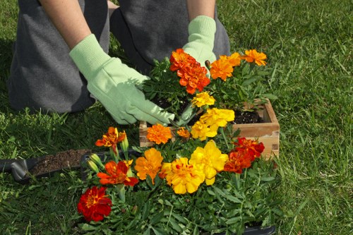A person wearing light green gardening gloves is planting or tending to a vibrant flower bed in a garden. The flowers are predominantly orange, red, and yellow, with lush green foliage surrounding them. The garden features a neatly maintained lawn with a mix of grass textures, and a wooden planter box is visible behind the flowers. The background includes a well-kept outdoor space, suggesting an established garden environment suitable for landscaping services in the Knightsbridge area. The scene is outdoors, with natural daylight illuminating the plants and gardening activity, reflecting the professional maintenance and gardening expertise of Landscapers Knightsbridge in providing quality outdoor care and garden improvement solutions.