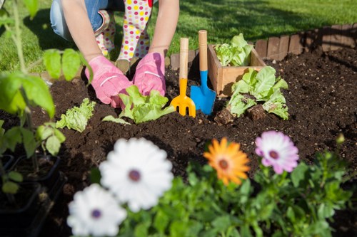 A child's hands wearing pink gardening gloves are planting young lettuce plants into rich, dark soil within a structured garden bed. The garden bed is bordered by wooden planks and contains a variety of leafy greens, with some small garden tools, including a yellow hand rake and a blue trowel, resting nearby. In the foreground, colorful flowers, including white, orange, and purple blooms, add visual contrast to the lush greenery. The background reveals a neatly maintained lawn with a vibrant green hue under bright, natural sunlight, suggesting a well-tended outdoor space typical of a residential garden in Knightsbridge. The garden is organized with a clear division between flower beds and vegetable plots, consistent with professional gardening activities conducted by Landscapers Knightsbridge. The scene captures a moment of outdoor activity, emphasizing the importance of garden cultivation and sustainable planting practices, integral to comprehensive gardening and landscaping services in the local area.