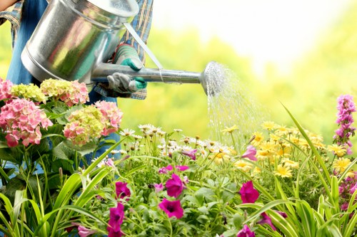 A close-up view of a garden with a variety of flowering plants, including pink, yellow, and purple blooms, arranged along a lawn area with lush green grass. In the background, there are shrubs and small trees creating a natural garden border. The scene is brightly lit, suggesting a sunny day, with water being gently poured from a metal watering can onto the plants, indicating active garden maintenance. The setting appears to be a well-kept outdoor garden space typical of residential landscaping in Knightsbridge, with a focus on healthy, vibrant plant growth and tidy plant borders. The overall environment is clean and organized, highlighting outdoor gardening activities related to lawn care and garden upkeep, with a subtle connection to professional garden services.