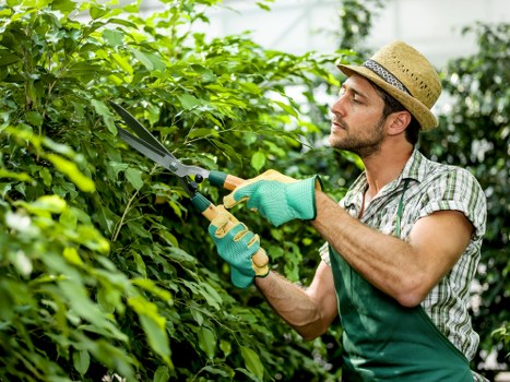 Premium quality landscaping services in Knightsbridge
