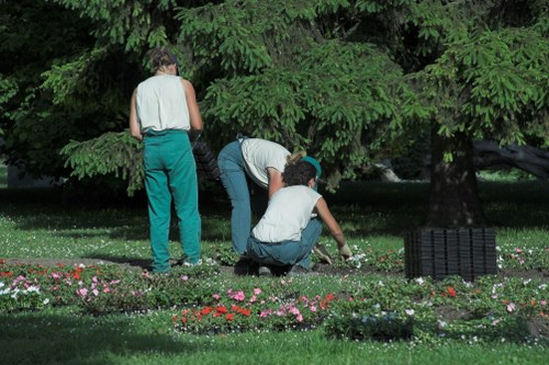 Expert team performing garden clearance