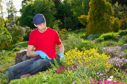 A gardener wearing a red t-shirt, blue gloves, and a blue patterned cap is tending to a vibrant garden in a residential outdoor space. The garden features a variety of flowering plants with bright yellow, pink, and purple blooms, arranged in natural, informal beds. In the background, lush green hedges, trees, and shrubs provide a dense, mature landscape setting. The grass lawn in the foreground appears well-maintained, with a mix of dense and lightly textured grass surfaces. Sunlight filters through the trees, illuminating the garden and casting soft shadows, creating a cheerful and inviting outdoor environment. The gardener is sitting on a low stone or brick border, carefully working among the plants, consistent with professional gardening and landscaping practices typical of local gardens in Knightsbridge. The scene conveys a well-maintained, colourful outdoor area suitable for garden renovation or ongoing maintenance services by Landscapers Knightsbridge.