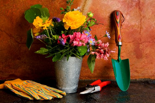 A close-up image of a garden workspace featuring a concrete floor and orange-toned wall background. Prominently, there is a large, unadorned grey flowerpot filled with a colourful arrangement of flowering plants including yellow, pink, purple, and white blossoms, along with broad green leaves. To the right of the flowerpot, a set of gardening tools is visible, including a green hand trowel with a wooden handle, a small red-handled pruner, and a pair of grey pruning shears. In the lower left corner, a pair of rubber gardening gloves with yellow and orange stripes is neatly folded. The scene captures a tidy, well-organized outdoor garden or landscaped yard, reflecting typical gardening activities associated with professional landscapers such as Landscapers Knightsbridge, operating in the Knightsbridge area, SW1 postcode district, with a focus on garden maintenance and planting projects. The lighting suggests a natural outdoor environment, possibly under overcast skies or shaded conditions, ideal for garden work and landscaping preparations.