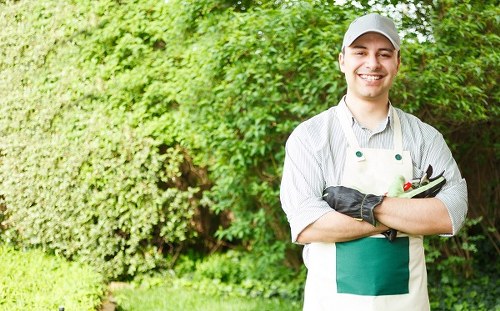 Eco-friendly lawn mowing practices in Knightsbridge