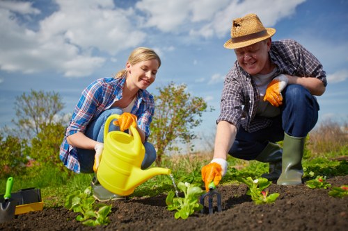 A woman and a man are working together in a well-maintained garden located in Knightsbridge, with a clear blue sky and scattered clouds overhead. They are both wearing casual, long-sleeved shirts and gardening gloves; the woman in a checked shirt and the man in a straw hat and plaid shirt. The woman is holding a yellow watering can and watering young vegetable plants in rich, dark soil, while the man is crouched nearby, using a small hand tool to tend the soil around the plants. The garden features a neatly arranged vegetable bed with leafy greens, bordered by grass and a few scattered flowering plants or shrubs in the background. Behind them, there are open green fields and a line of trees, indicating a peaceful outdoor environment. The overall scene captures outdoor gardening activity under bright sunlight, with minimal shadows, emphasizing the care taken in cultivating a healthy garden space consistent with local lawn and garden maintenance services by Landscapers Knightsbridge.