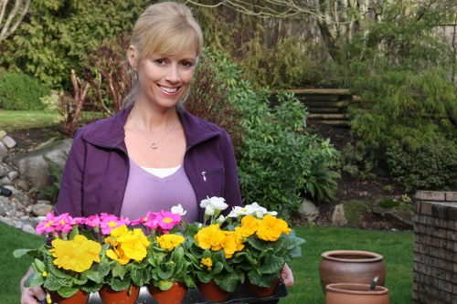 A smiling woman with blonde hair, dressed in a purple jacket and white top, stands in a well-maintained garden holding a black tray with multiple small terracotta pots, each containing blooming yellow, white, and pink flowers. Behind her is lush green foliage, including neatly trimmed hedges, various plants, and a lawn area. The garden features a natural stone border, wooden stairs in the background, and a dark brick wall on the right side, set on a bright, sunny day that highlights the vibrant colors of the flowers and greenery. This outdoor space reflects a carefully landscaped garden suitable for professional gardening and landscaping services, with a focus on flower planting and garden maintenance in Knightsbridge.