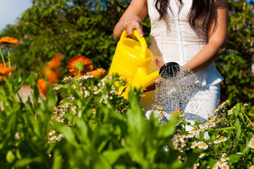 A woman in a light-colored sleeveless top is watering a garden bed with a yellow watering can, standing on a lush, well-maintained lawn in a backyard environment. The garden features a diverse array of flowering plants, including daisies with white petals and yellow centers, and orange flowers visible in the background. The soil in the garden bed appears dark and moist, bordered by a mix of shrubbery and green foliage. In the background, there are mature trees and dense greenery, indicating a landscaped outdoor space in Knightsbridge. Bright natural sunlight illuminates the scene, casting gentle shadows and highlighting the vibrant colours of the flowers and grass. This outdoor setting exemplifies a tidy, cultivated garden, suitable for professional gardening and landscaping services by Landscapers Knightsbridge, with a focus on maintaining healthy lawns, flower beds, and overall garden structure.