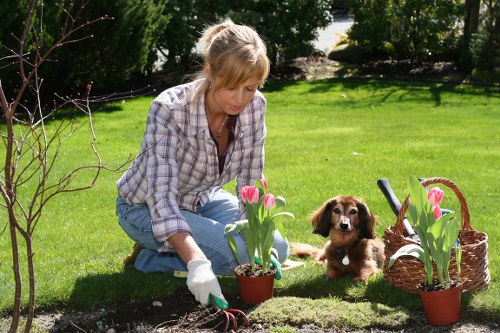 A woman dressed in a checked shirt and blue jeans is kneeling on a well-maintained lawn in a garden, planting vibrant pink tulips in a small terracotta pot. The garden features lush, evenly cut grass, with a background of green shrubbery and mature trees providing shade and natural backdrop. To her right, there is a wicker basket filled with more pink tulips, and a few gardening tools resting nearby, indicating active gardening work. A small brown puppy sits attentively beside her, looking at the camera, adding a friendly and charming element to the outdoor scene. The weather appears bright with natural daylight illuminating the garden's rich colours and textures, suggesting a nice day for gardening in Knightsbridge or nearby southwest London areas. This scene exemplifies typical gardening activities undertaken by Landscapers Knightsbridge, demonstrating the care and attention involved in garden planting and outdoor landscape maintenance on residential properties across the local postcode area.
