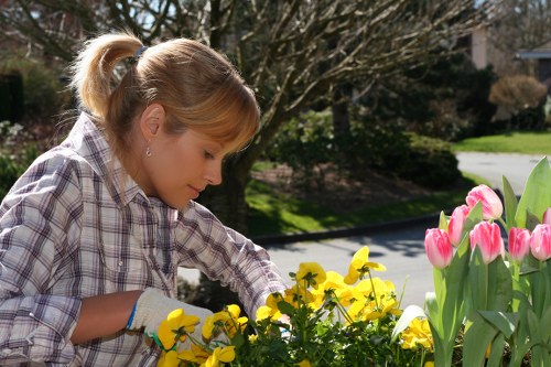 A young woman with light brown hair tied in a ponytail, wearing a plaid shirt and gardening gloves, is tending to a flower bed in a well-maintained front garden. She appears to be planting or weeding among yellow and pink flowering plants, including tulips and pansies, with a backdrop of lush green shrubs, trees, and a paved driveway. The garden features a neatly trimmed lawn, a variety of flowering and foliage plants, and a natural, springtime atmosphere with bright sunlight and clear weather. This outdoor scene reflects typical gardening activities supported by professional landscaping services in Knightsbridge, with attention to plant health and garden aesthetics.