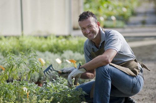 A male gardener wearing a light grey shirt, dark blue jeans, and a brown apron is crouched down in a garden with neatly organized flower beds and lush green foliage. He is smiling at the camera while holding a small gardening rake in his right hand and gently tending to a row of green plants, which appear healthy and well-maintained. The garden features a combination of grass, soil, and decorative mulch, with a backdrop of a wooden fence and organized shrubbery. Bright natural sunlight illuminates the scene, indicating clear weather, and the overall environment suggests a well-kept residential or community garden typical of the Knightsbridge area managed by Landscapers Knightsbridge, specialists in gardening and outdoor landscaping services.
