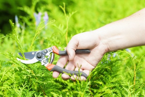 Elegant garden maintenance in Knightsbridge